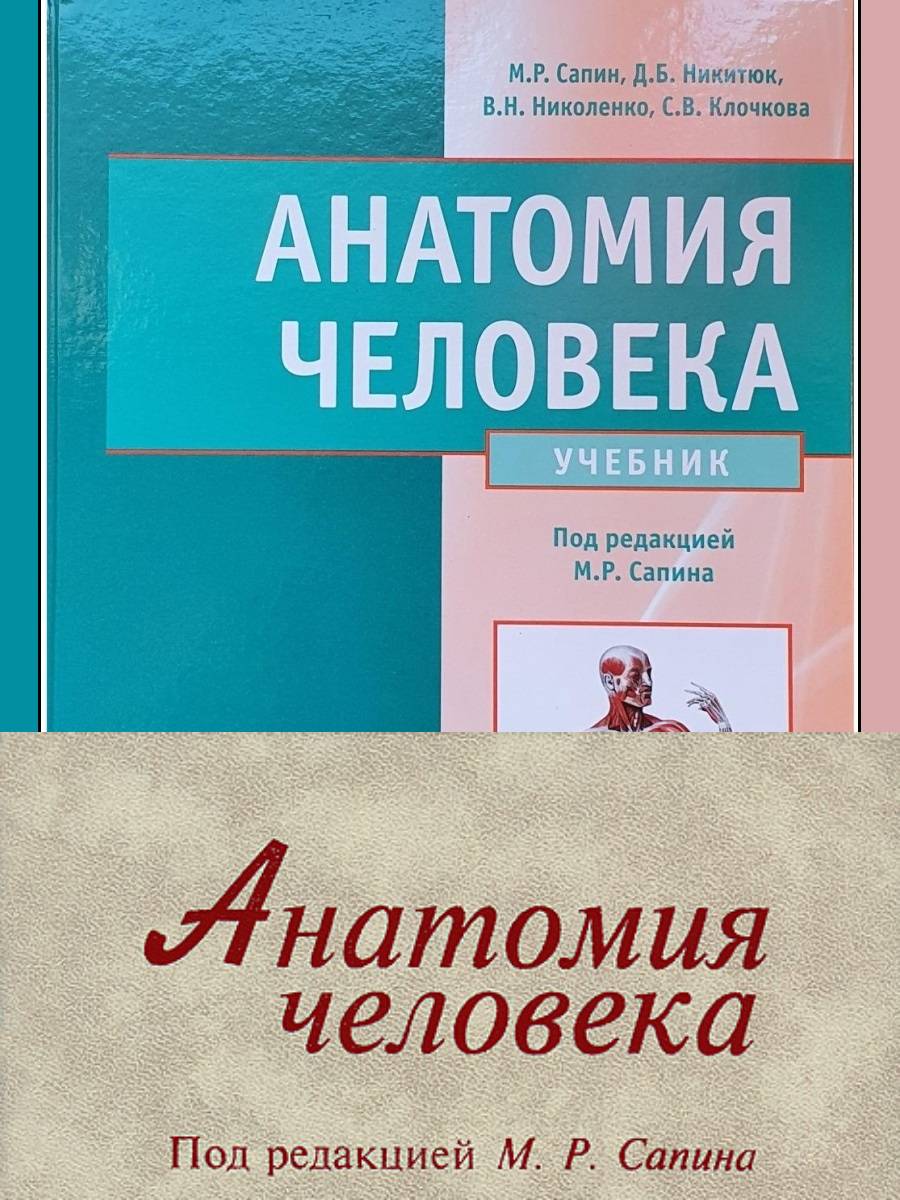 Обложка учебника по анатомии М.Р. Сапин, Д.Б. Никитюк