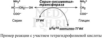 Пример реакции с участием тетрагидрофолиевой кислоты