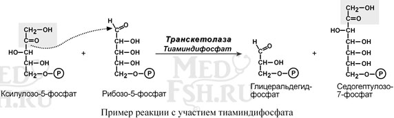 Пример реакции с участием тиаминдифосфата