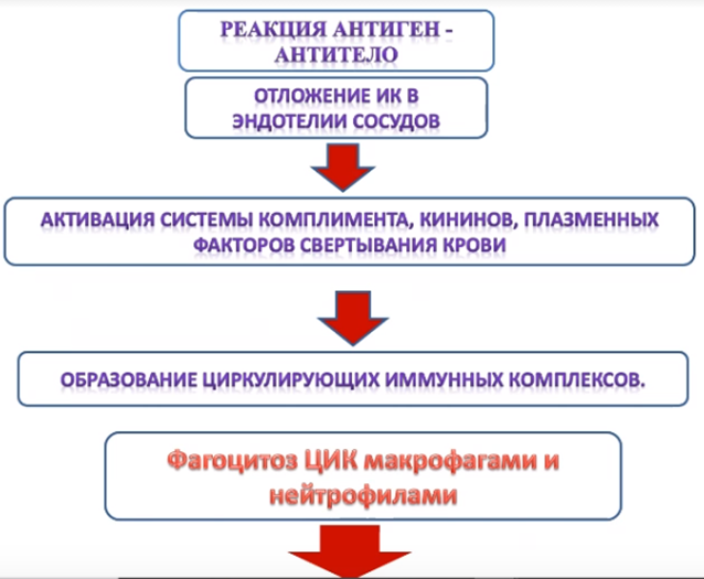 Иммунное воспаление