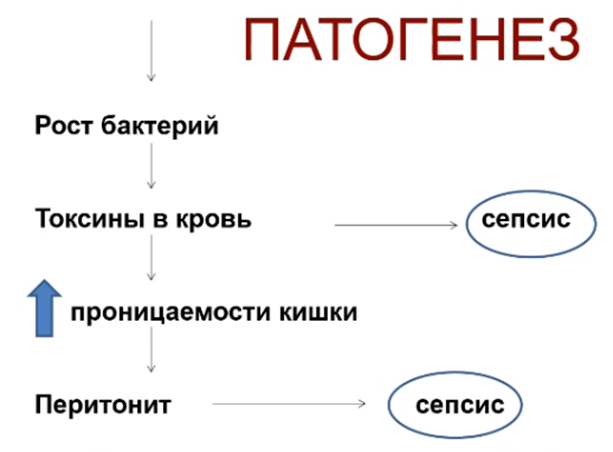 Патогенез острой кишечной непроходимости