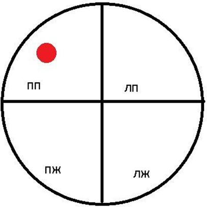 Проводящая система сердца, схематично