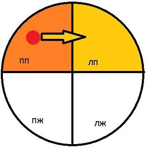 Проводящая система сердца, схематично