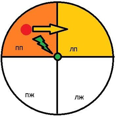Проводящая система сердца, схематично