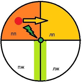 Проводящая система сердца, схематично