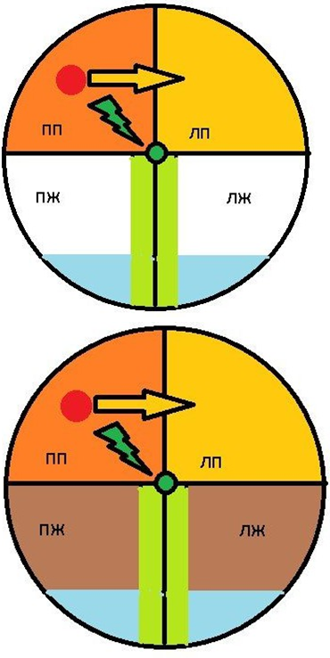 Проводящая система сердца, схематично
