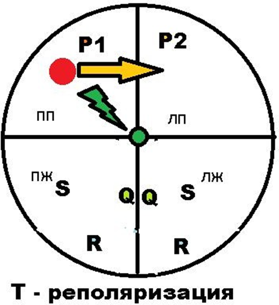 Реполяризация, схематично