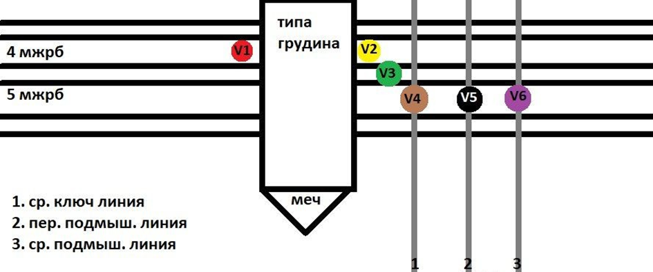Точки грудных отведений