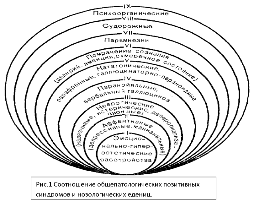Соотношение общепатологических позитивных синдромов и нозологических единиц.