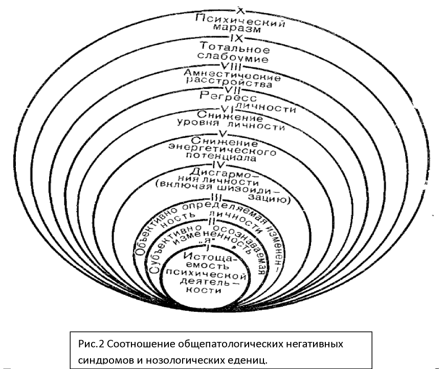 Соотношение общепатологических негативных синдромов и нозологических единиц