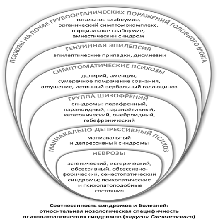 Соотнесенность синдромов и болезней: относительная нозологическая специфичность психопатологических синдромов («круги» Снежневского)
